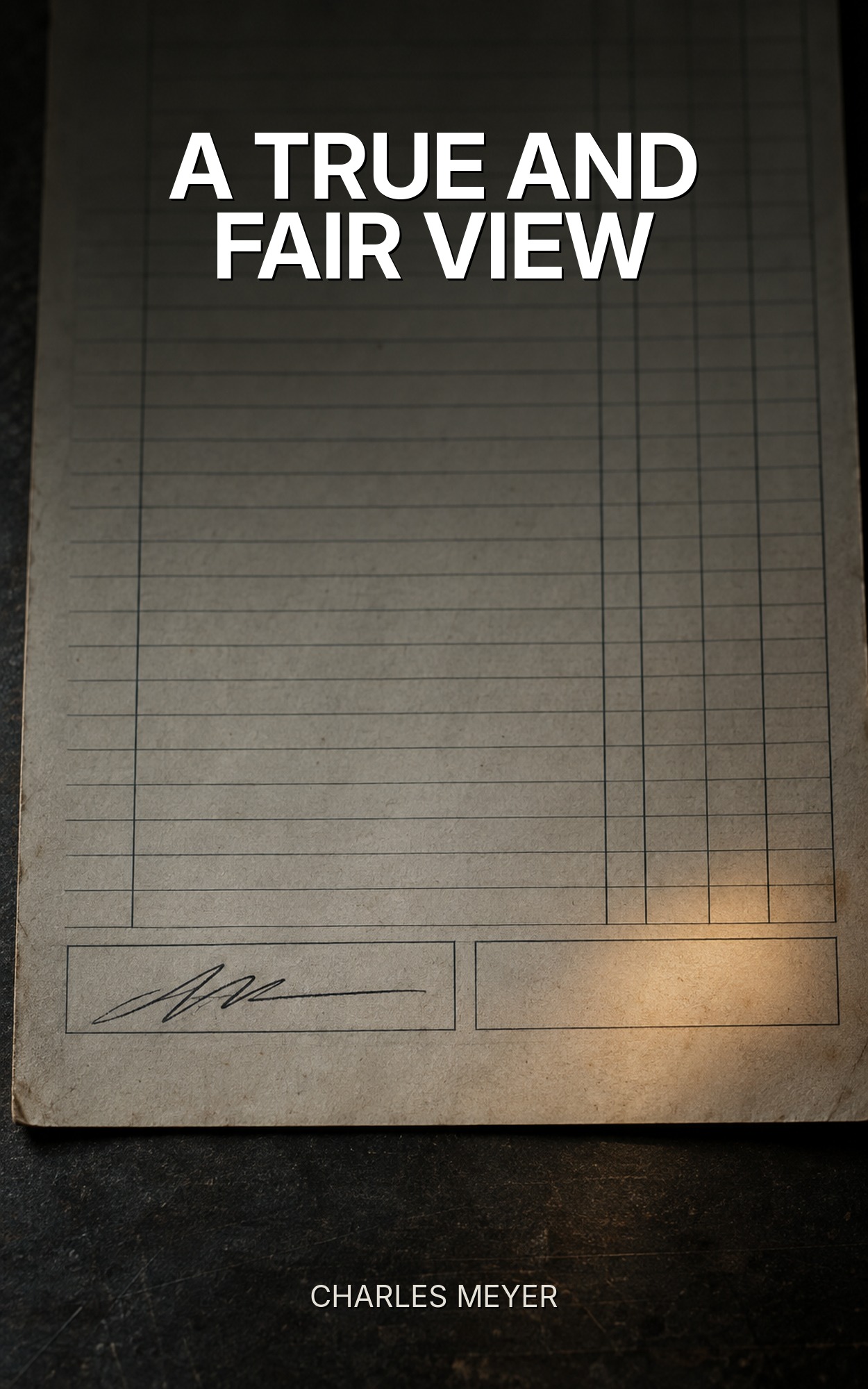 A True and Fair View by Charles Meyer, book cover