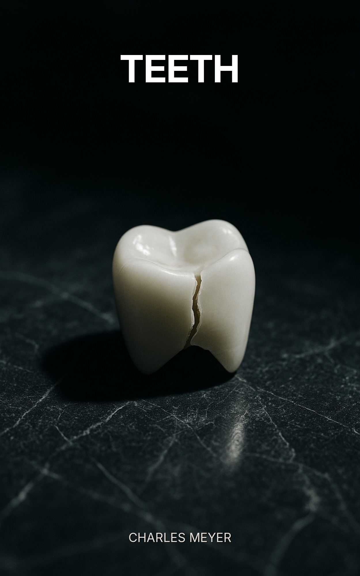 Teeth by Charles Meyer, book cover